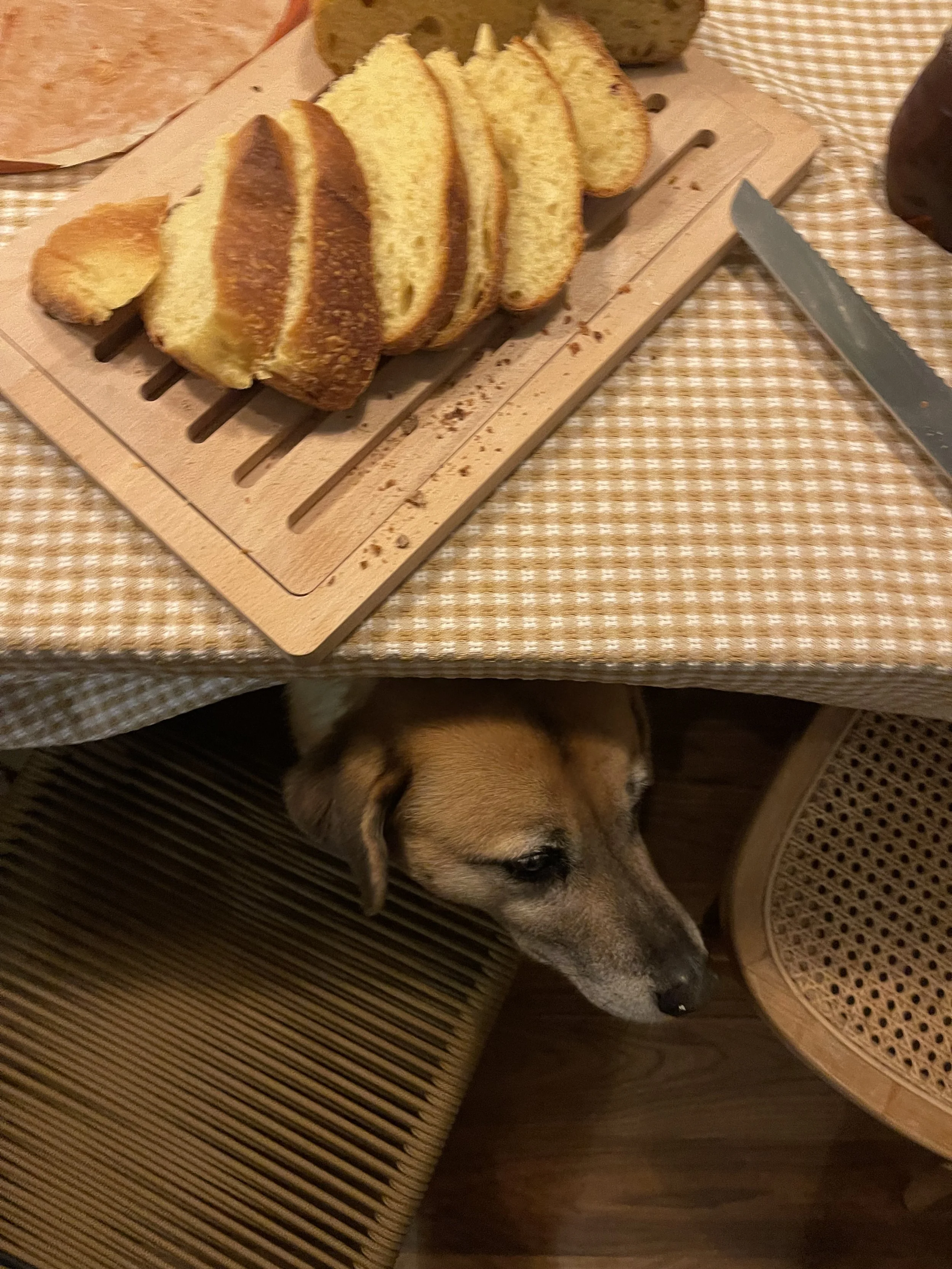 Negative Automatic Thoughts: Learning to Catch the Story