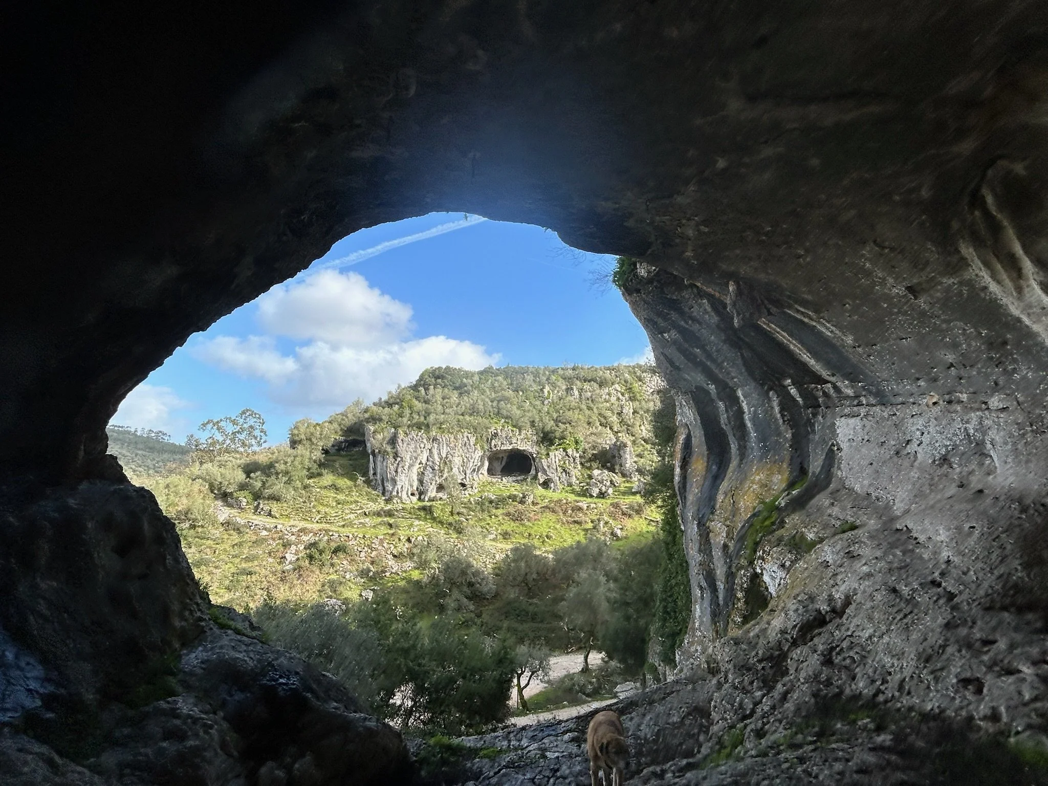 Emotions: Learning to Listen