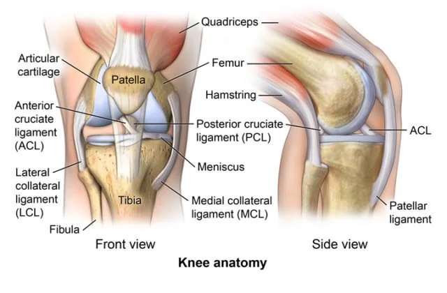 Knee Pain: What's Actually Going On In There (And When To Worry)