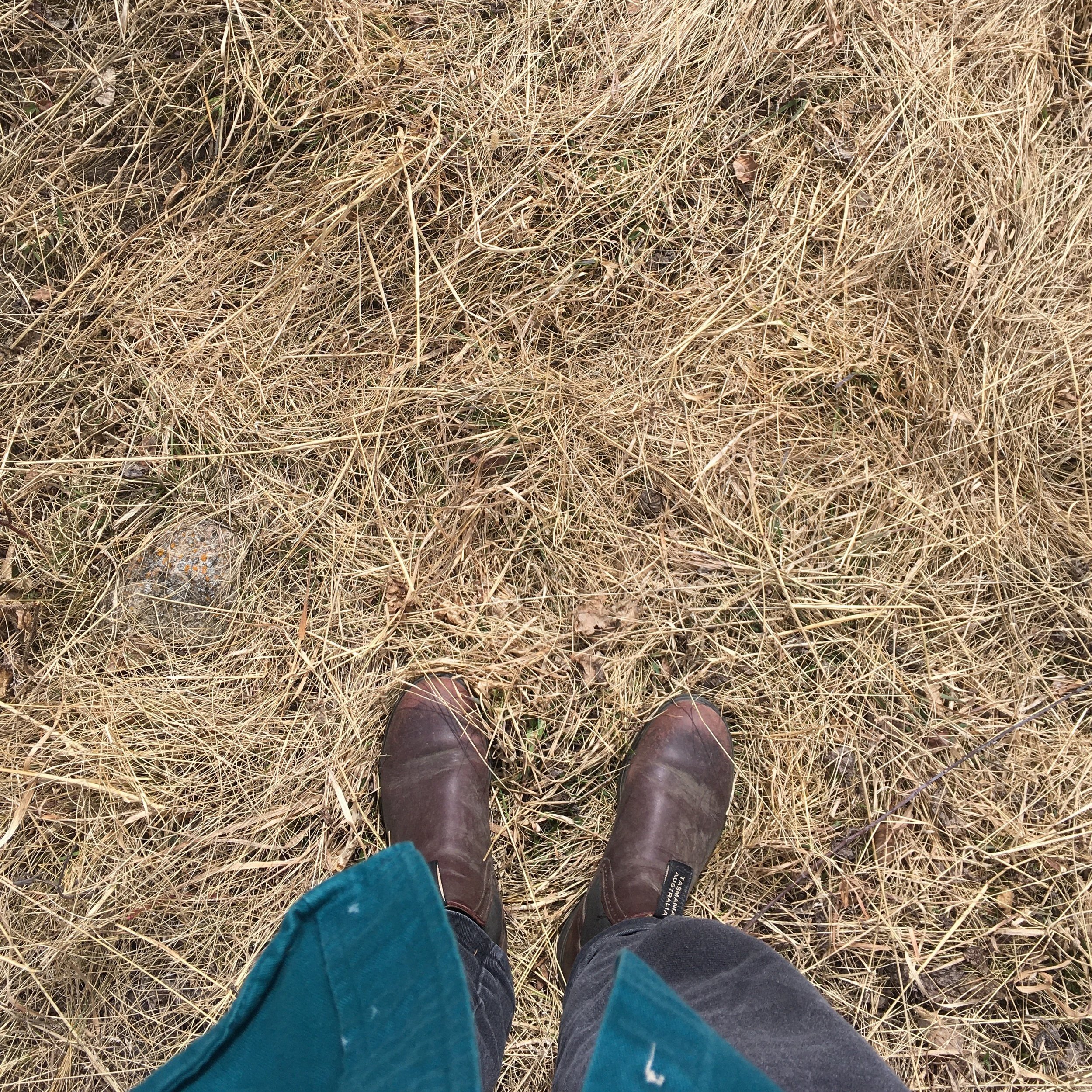 Finding Our Ground: Week 6 - Grounding in a higher power