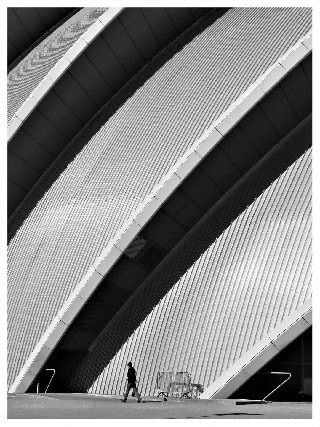 Man At SEC Armadillo