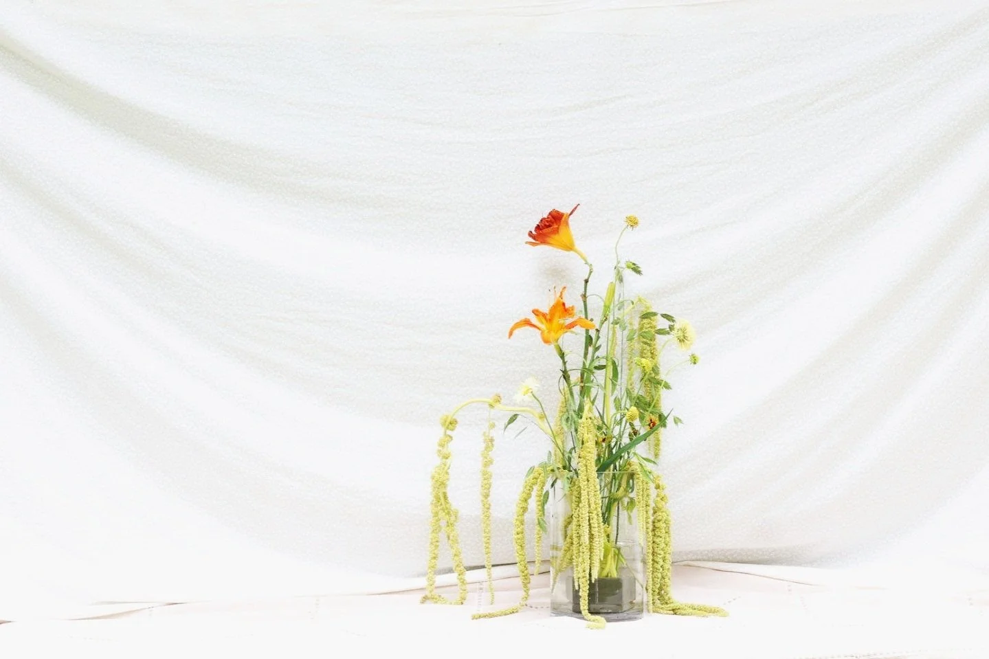 Flora Photography