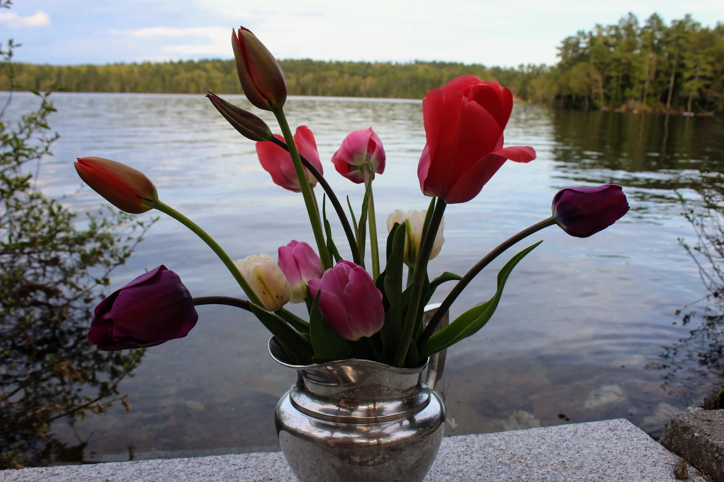 IMG_8888.JPG