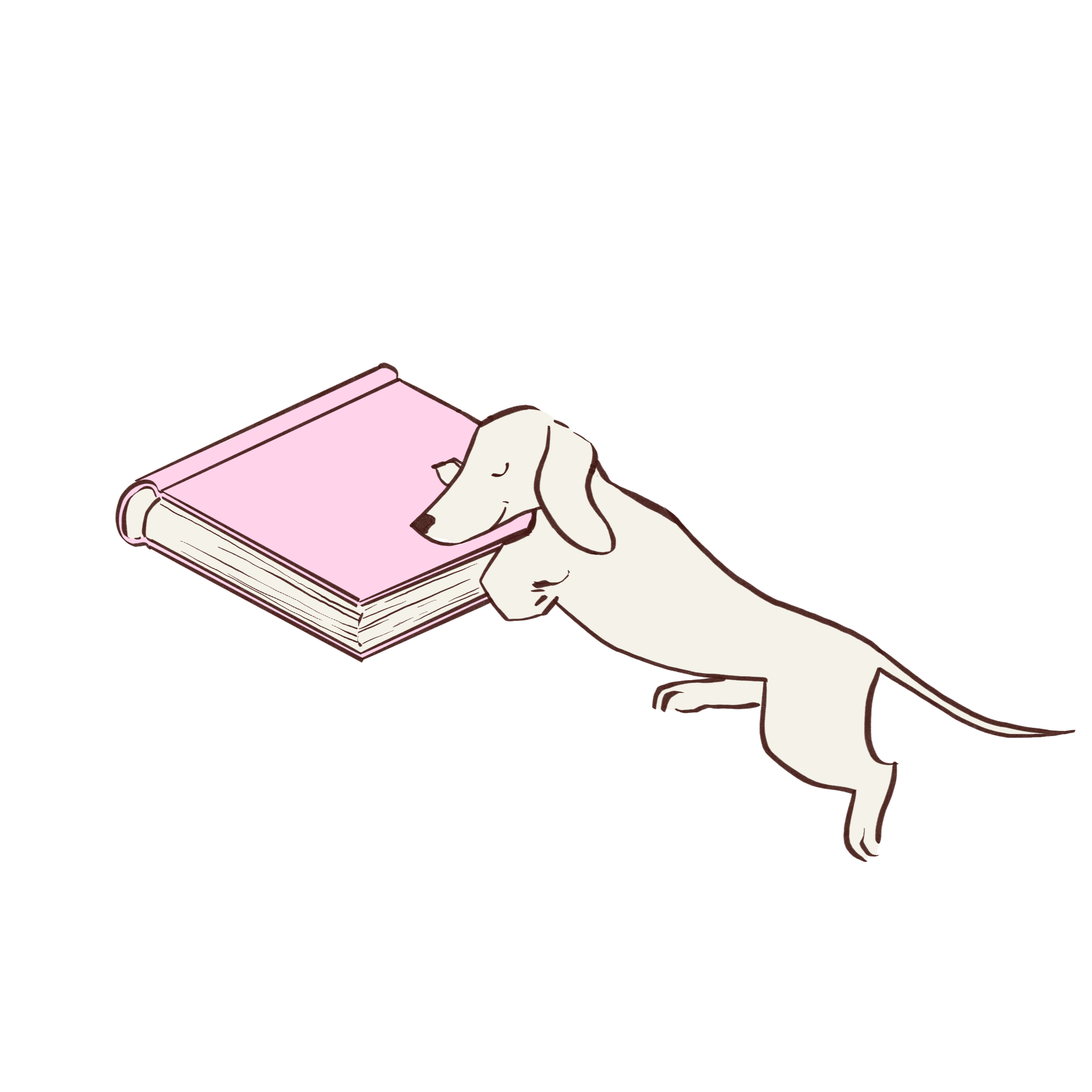 Bb_dog_exercise+3.png