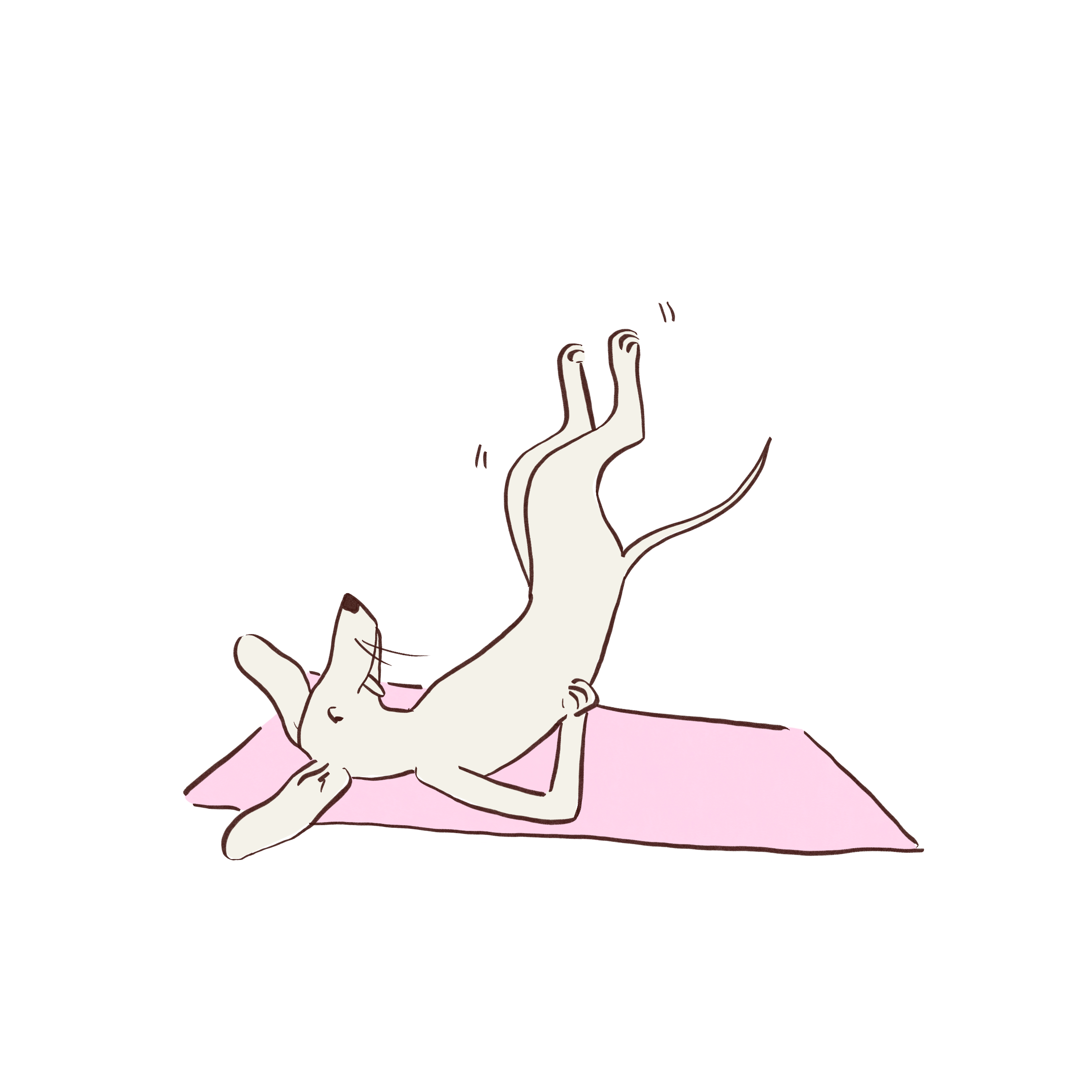 Bb_dog_exercise.png