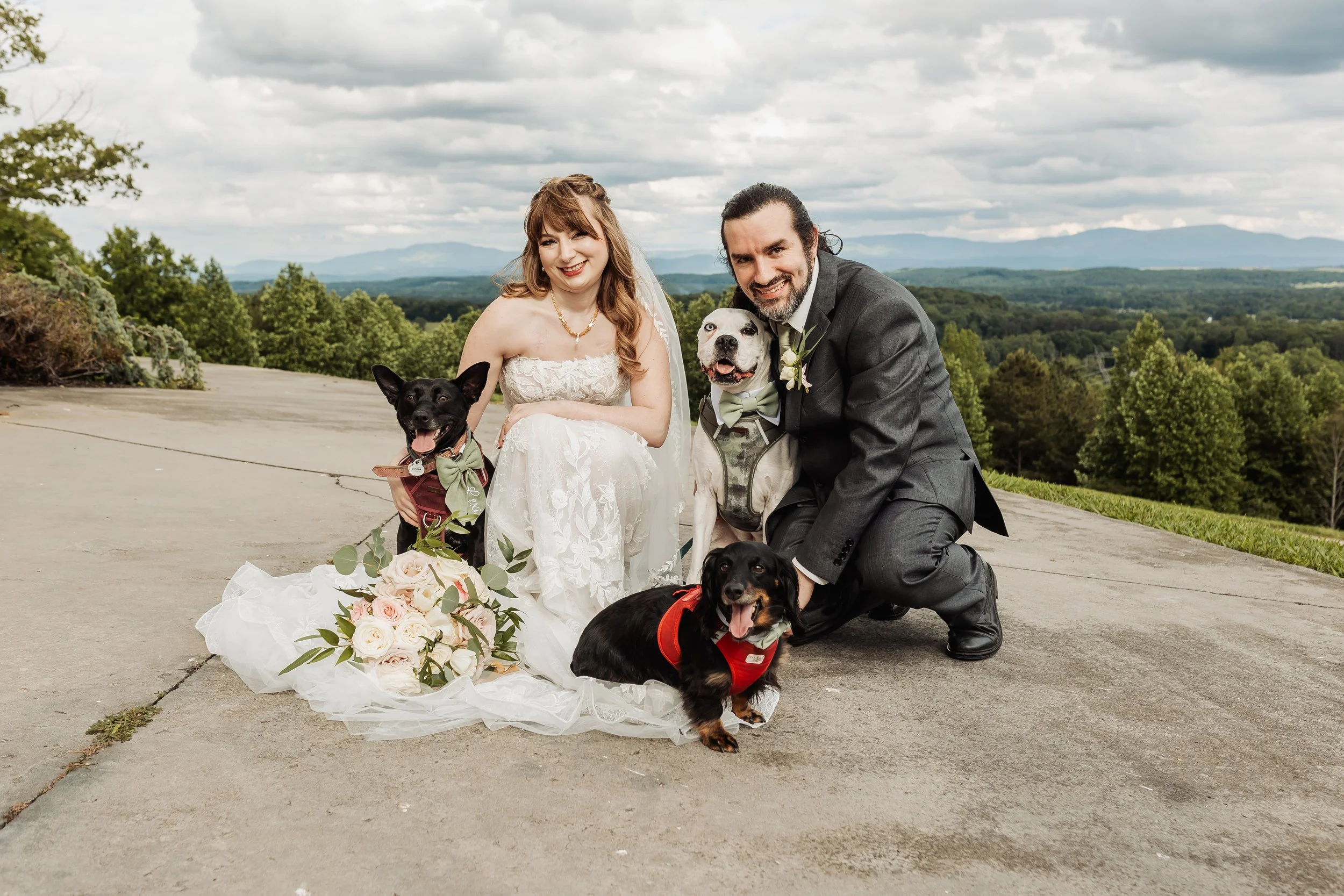 Pets make their way into wedding portraits for a cute family wedding photo.