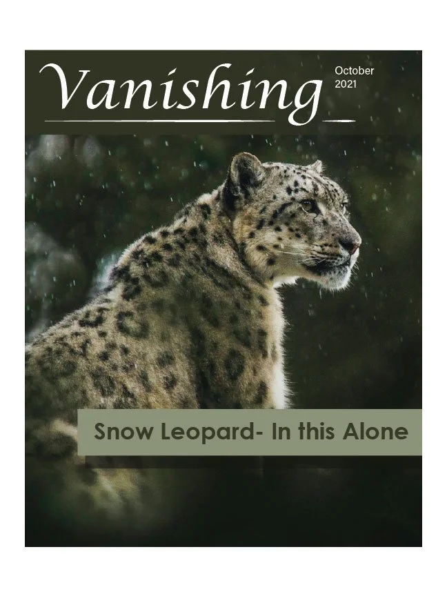 Magizine Cover Assignment outlines-01.jpg