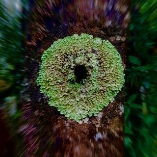 The Ebbs and Flows of Cancer Treatment - Snapshot 6 