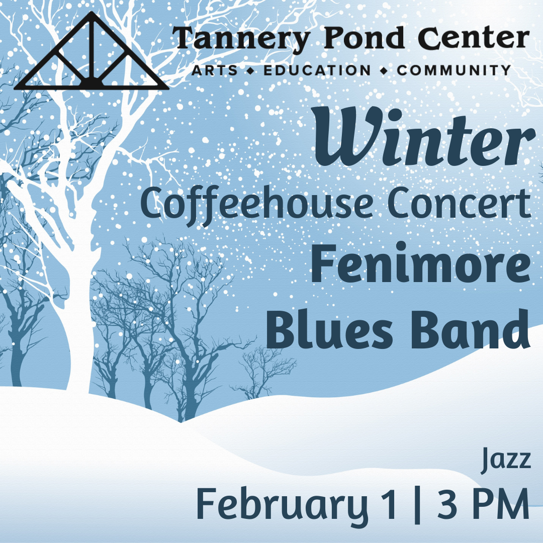 Fenimore Blues Band