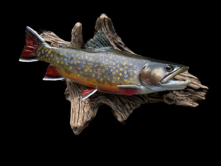 Taxidermy+11.jpeg