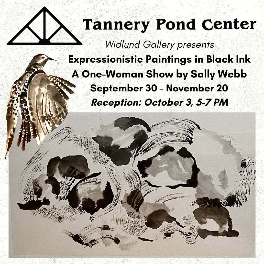 GALLERY | Widlund Gallery | Expressionistic Paintings by Sally Webb | Presented by TPC