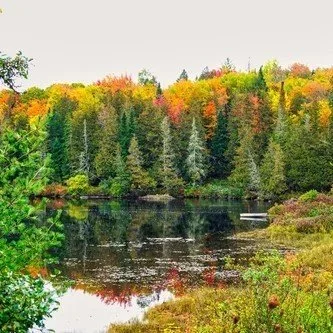 Get ready to put nature in focus through the lens of Drew Monthie at The Widlund Gallery, where his captivating photography of flora, fauna, and landscapes is sure to inspire a sense of adventure. 🥾🥾Join us for the gallery reception and indulge in 