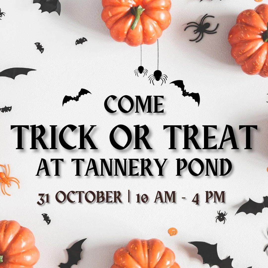🍭🍬Come to Tannery Pond on your trick or treating adventures! 🎃👻