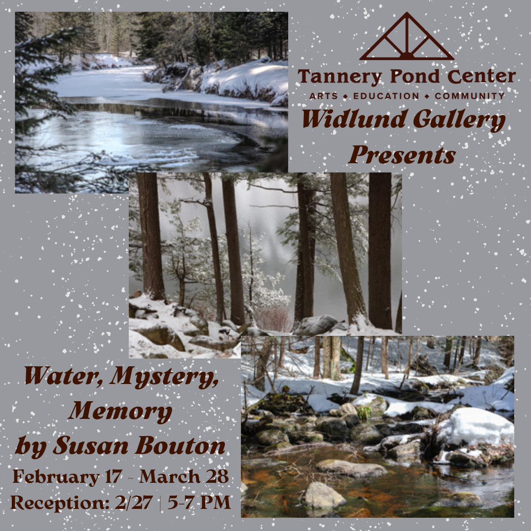 GALLERY | Widlund Gallery | North Country Landscapes | Presented by TPC (Copy)
