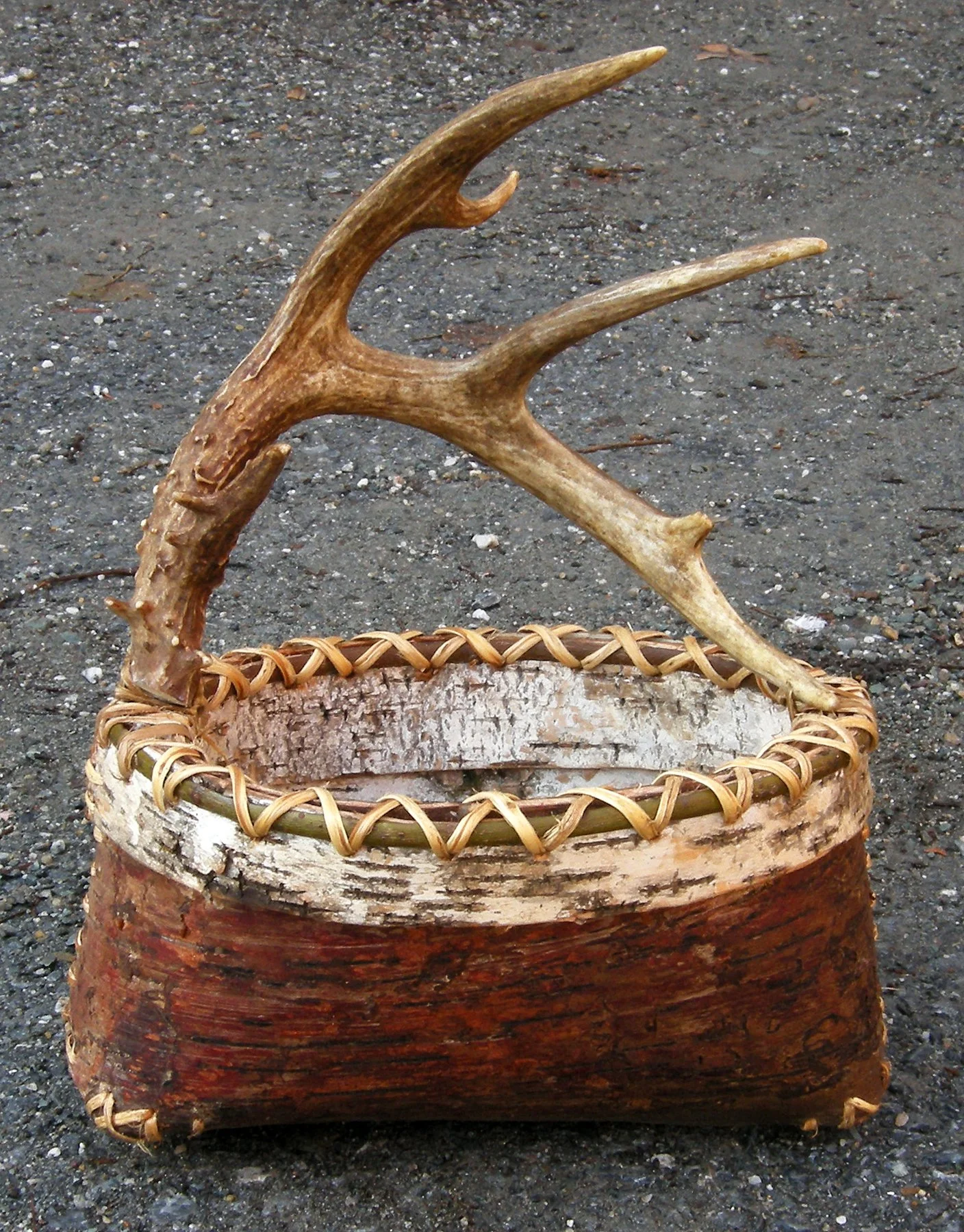 Mark Catman - basket with antler 2019 DSCN9667.jpg