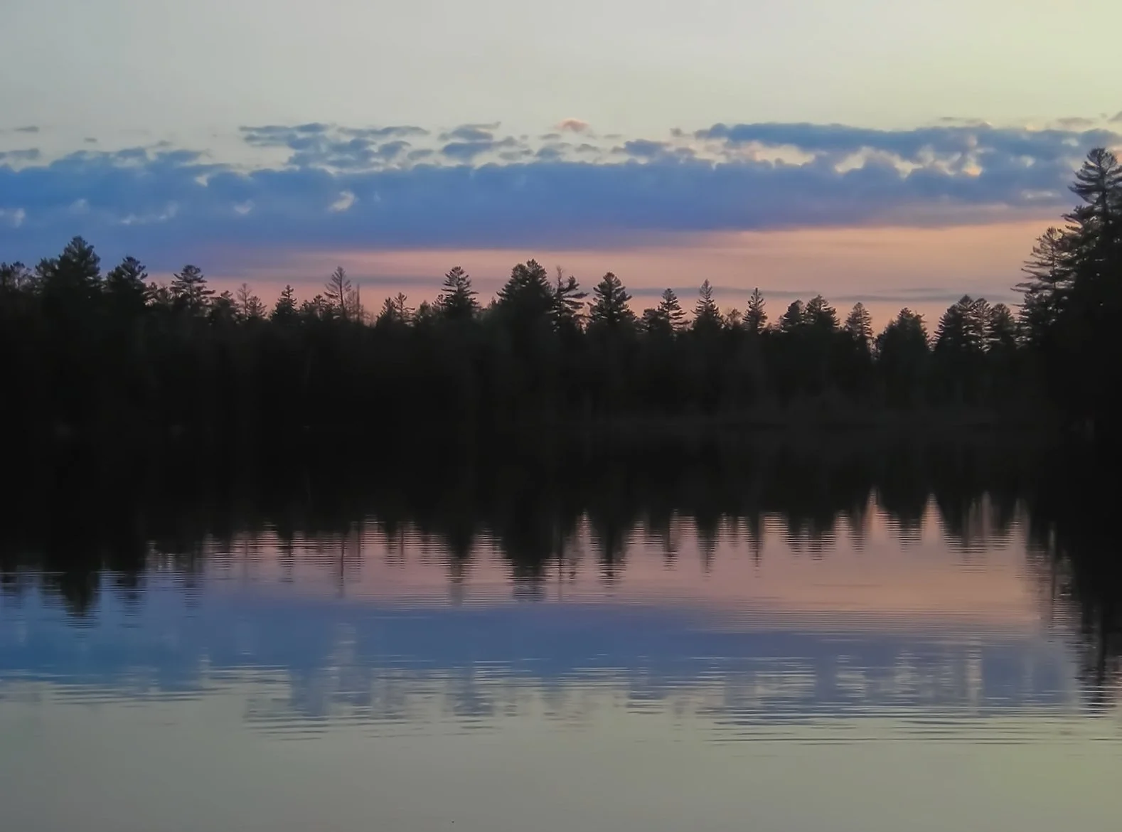 Sylvia Vidal - whortleberry pond14aa.jpg