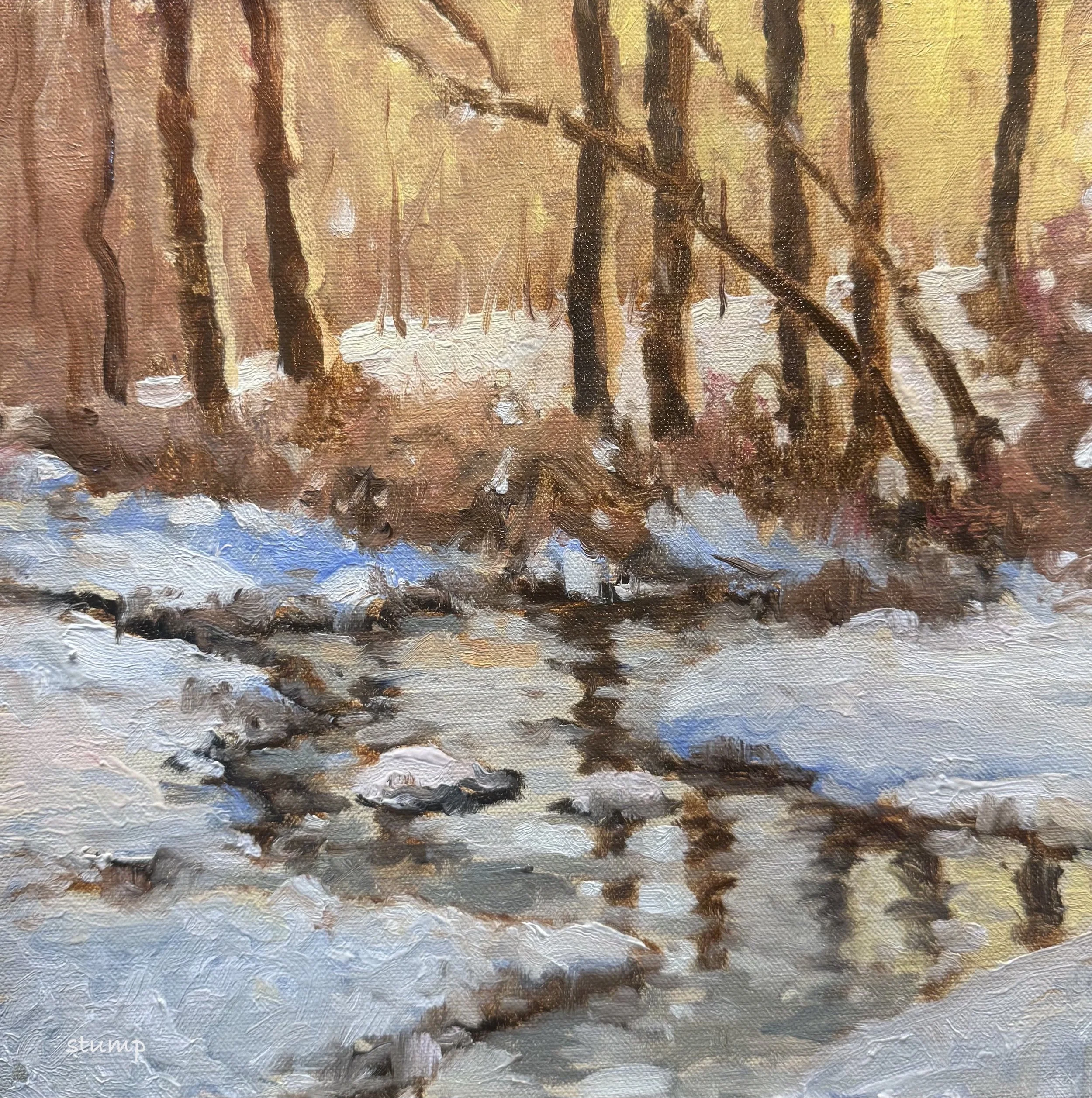 Winter Reflections .JPG