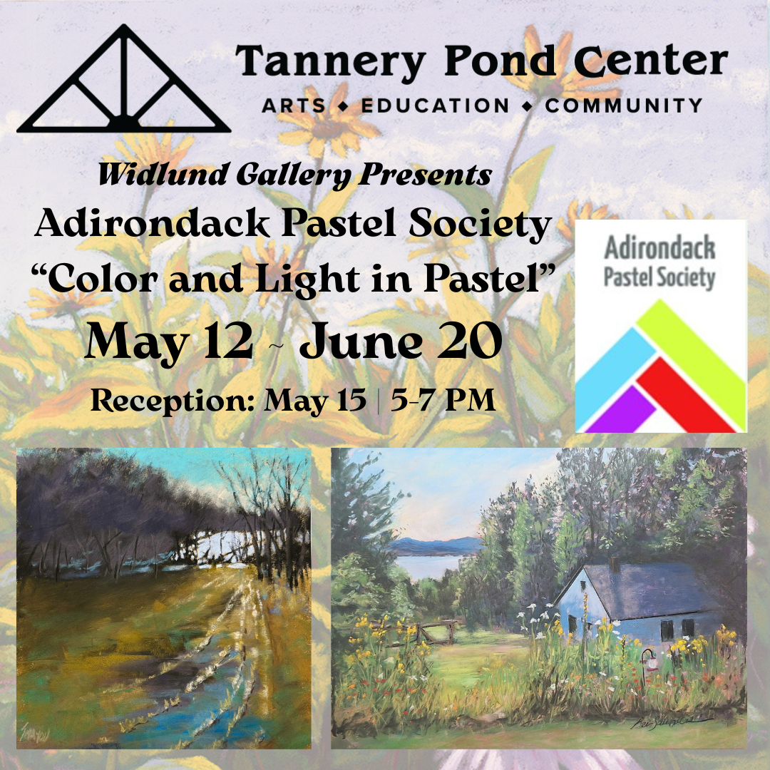 Adirondack Pastel Society&nbsp;“Color and Light in Pastel”