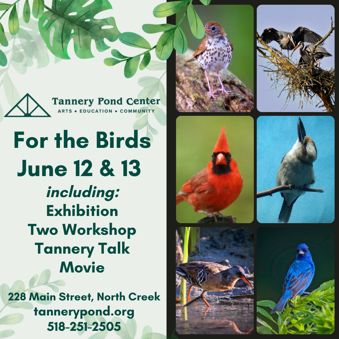 EVENT | Tannery Pond For the Birds | Presented by TPC
