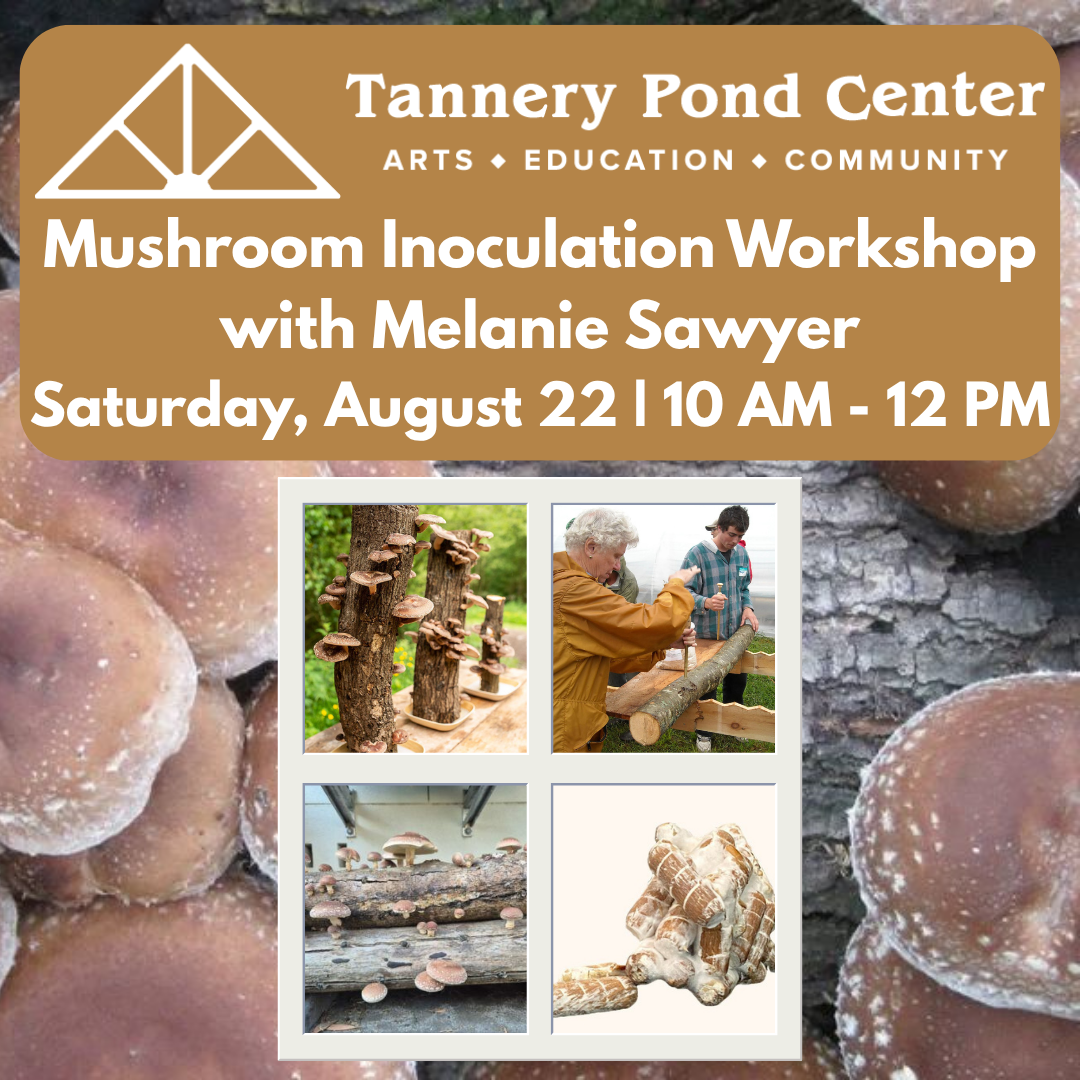 Mushroom Inoculation Workshop with Melanie Sawyer