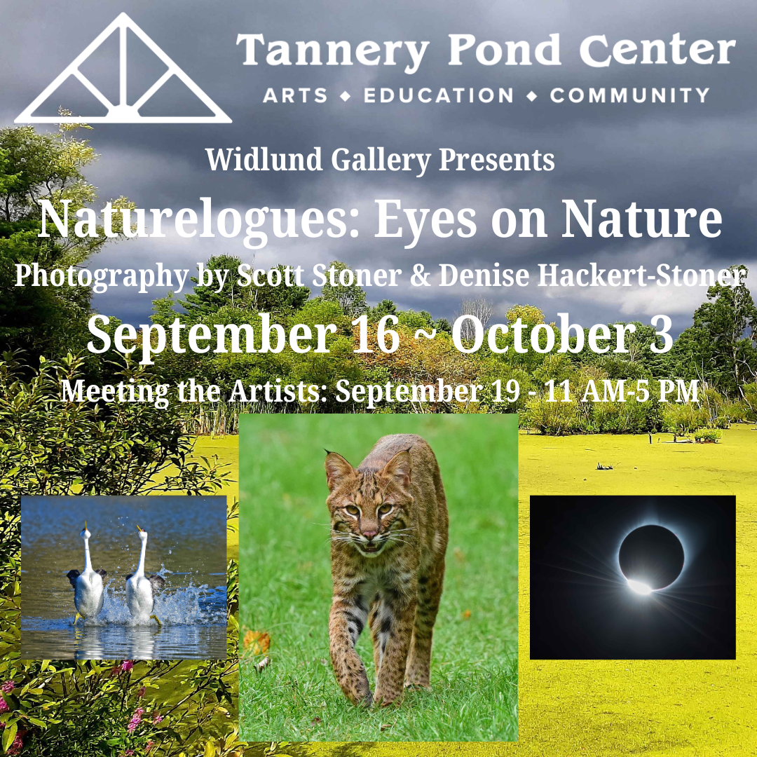 GALLERY | Widlund Gallery | Naturelogues: Eyes on Nature | Presented by TPC
