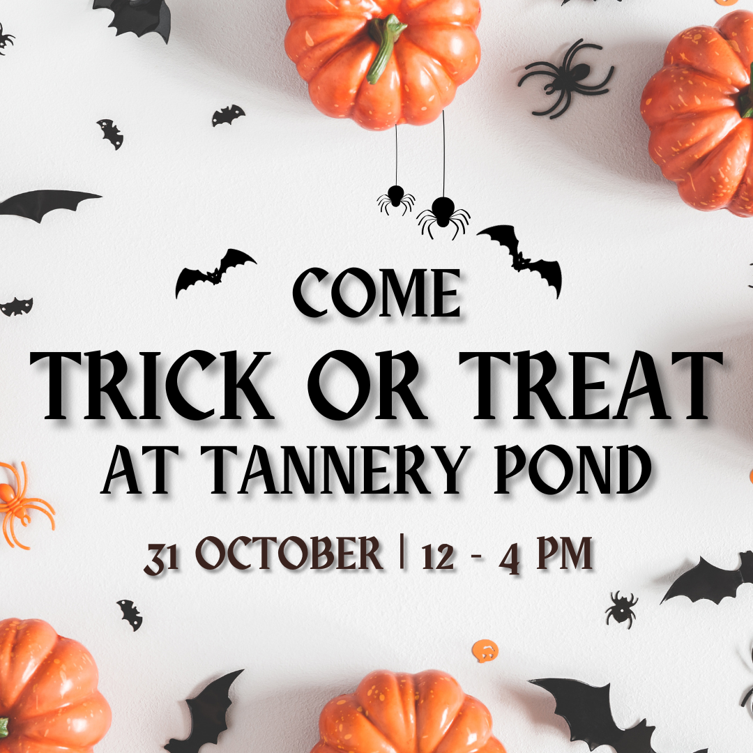 EVENT | Trick or Treat | Presented by TPC
