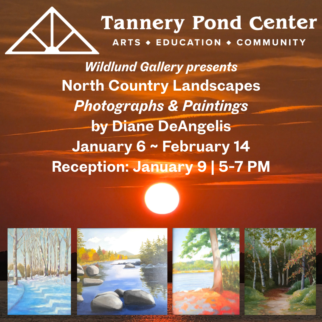 North Country Landscapes by Diane DeAngelis