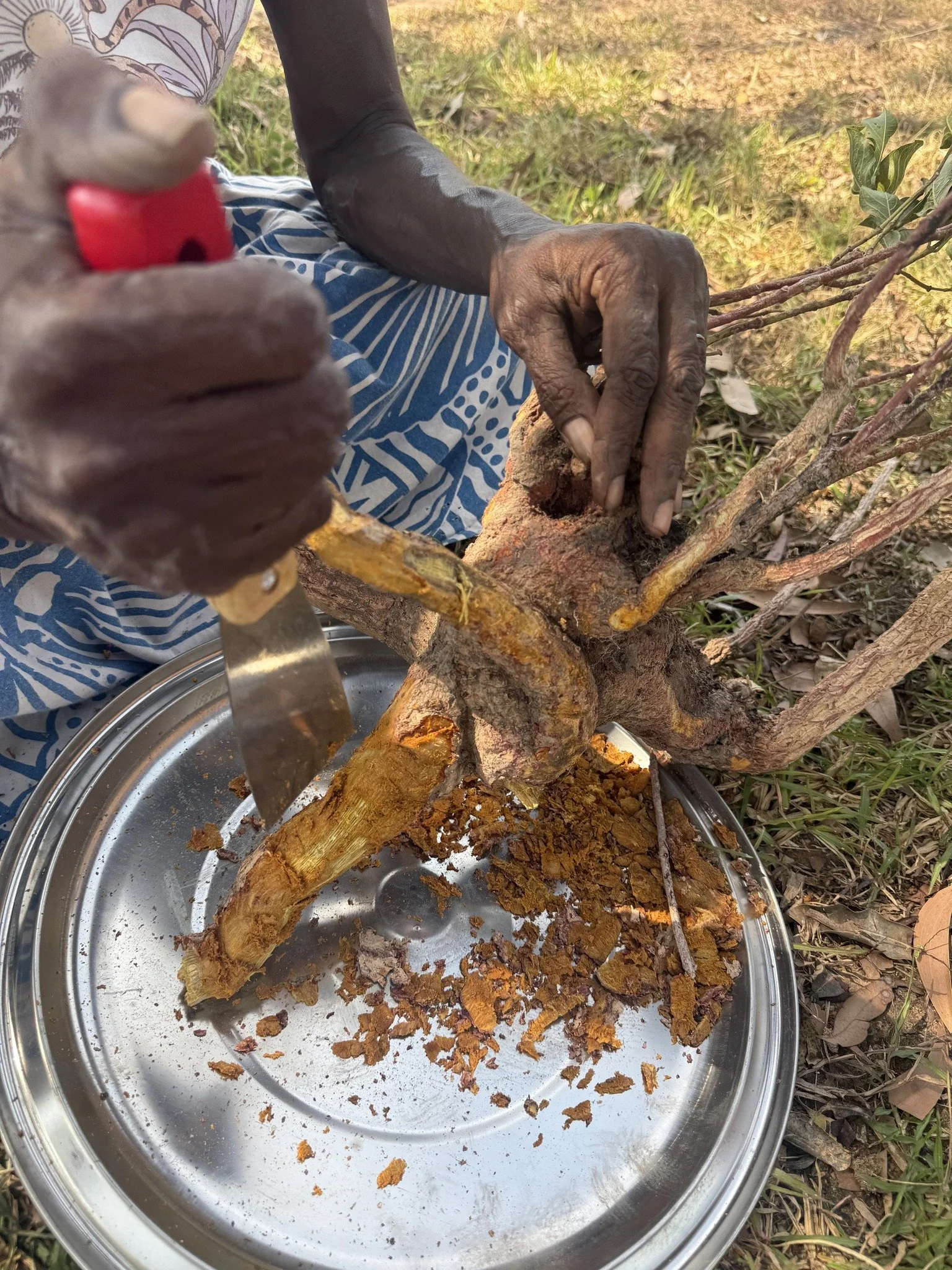 Learning the Art of Tiwi Weaving