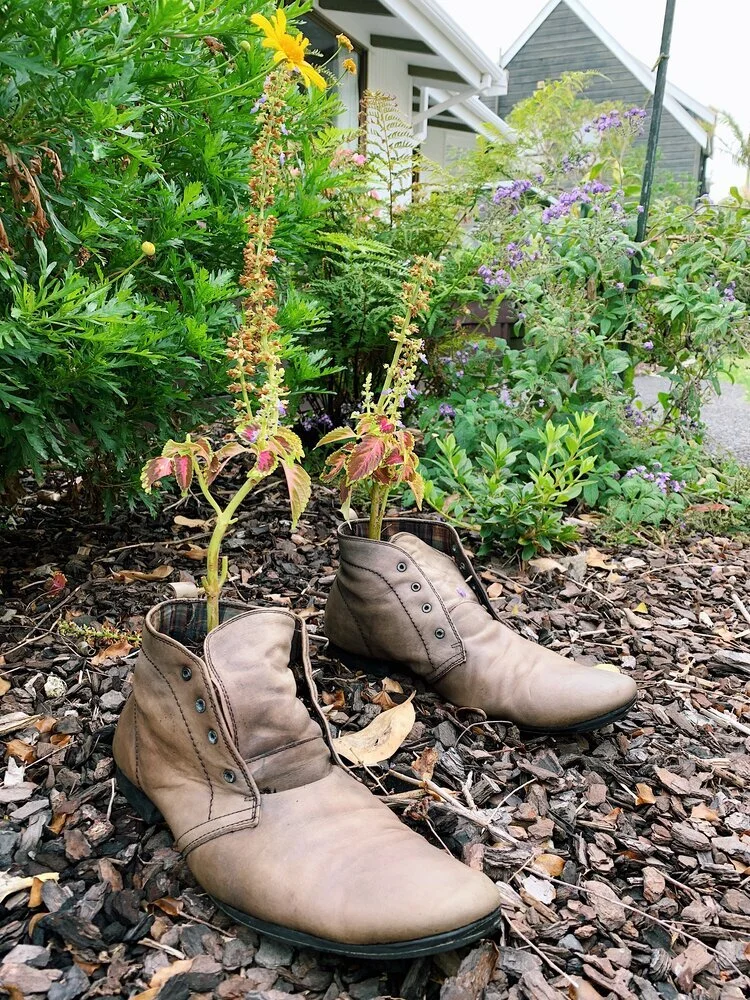 Shoe+Planters.jpeg
