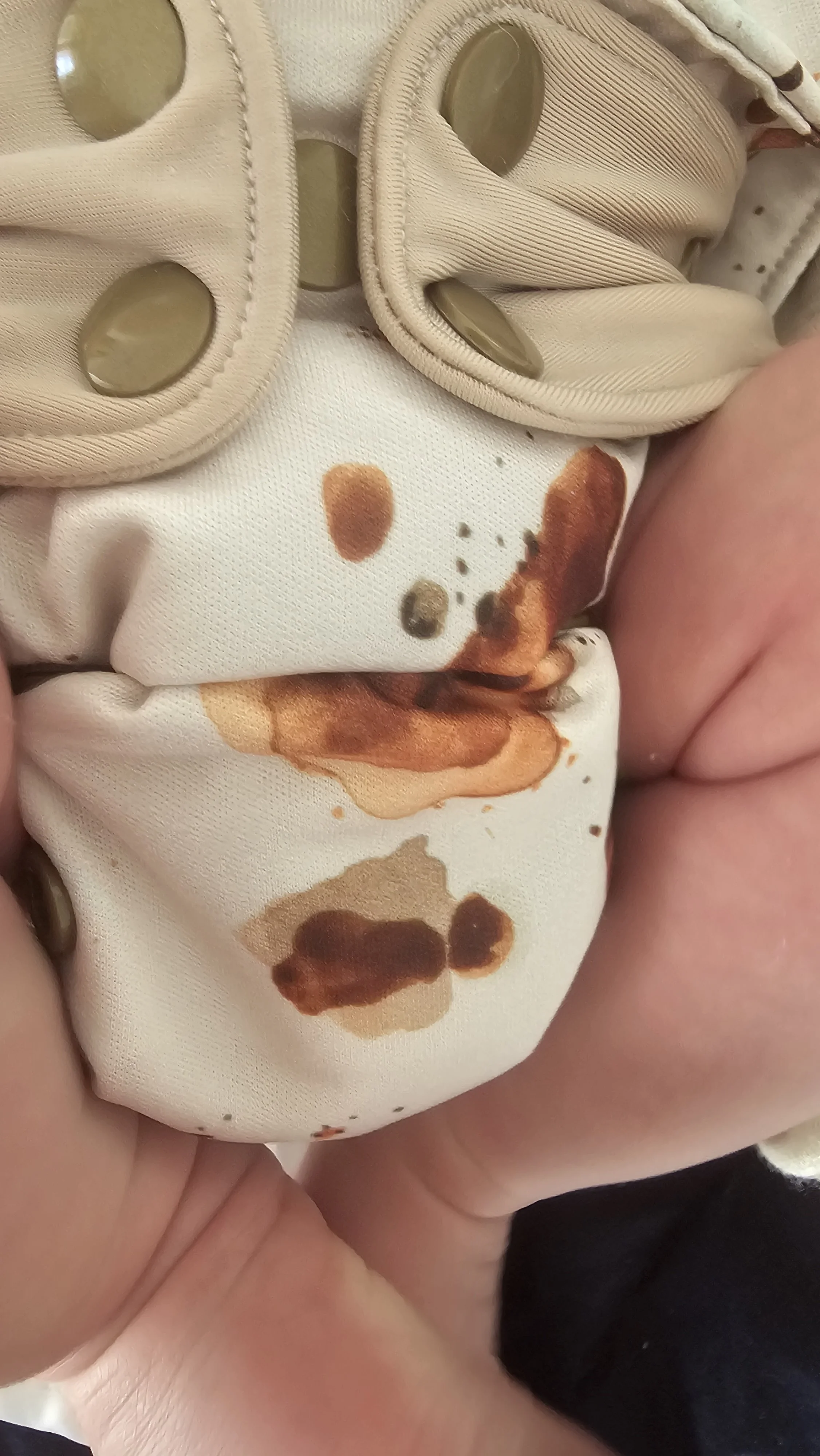 reusable nappy reviews.jpg