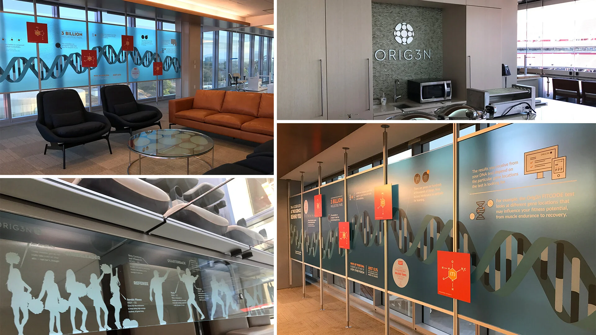 Stadium Suite Design & Branding