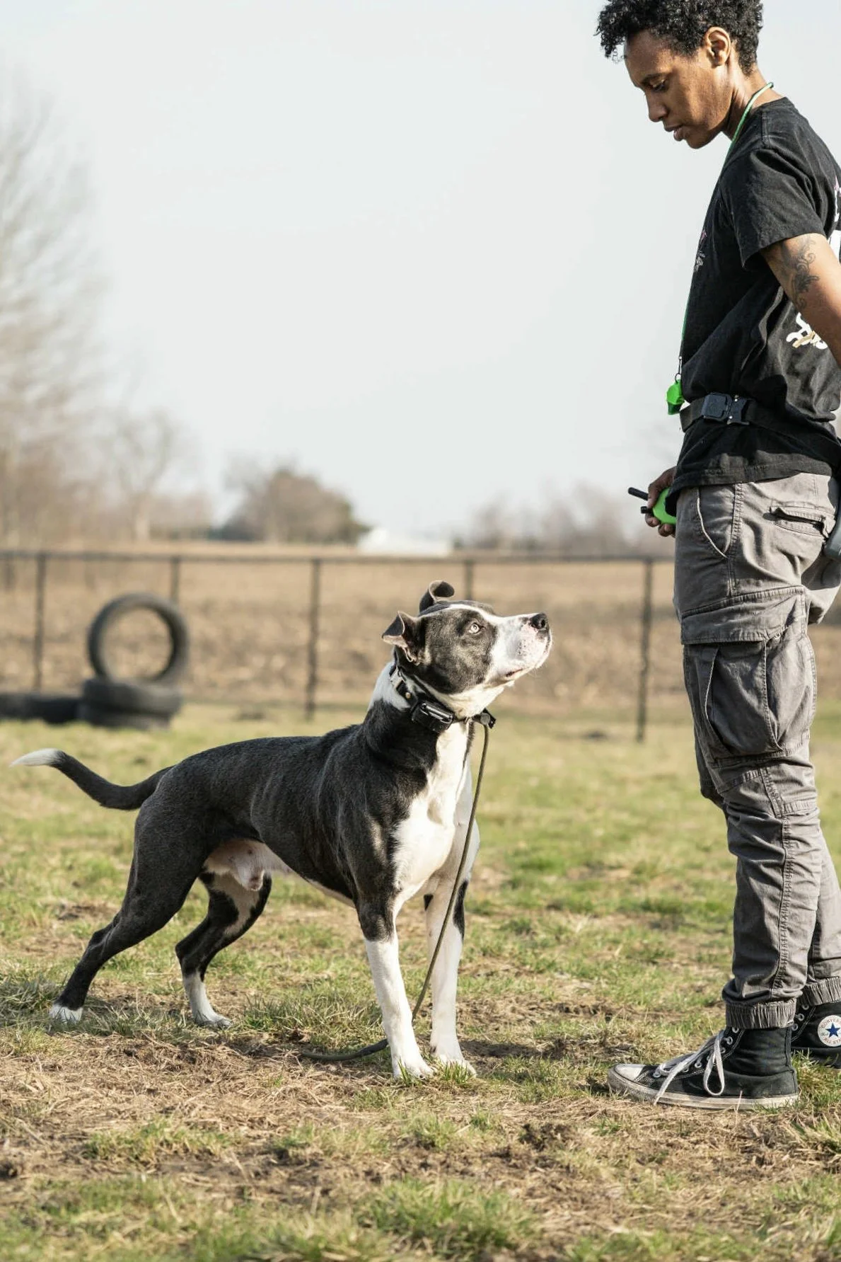 A person standing outdoors with a black and white dog on a leash, the man holding a remote control, in a grassy area with a tire in the background.