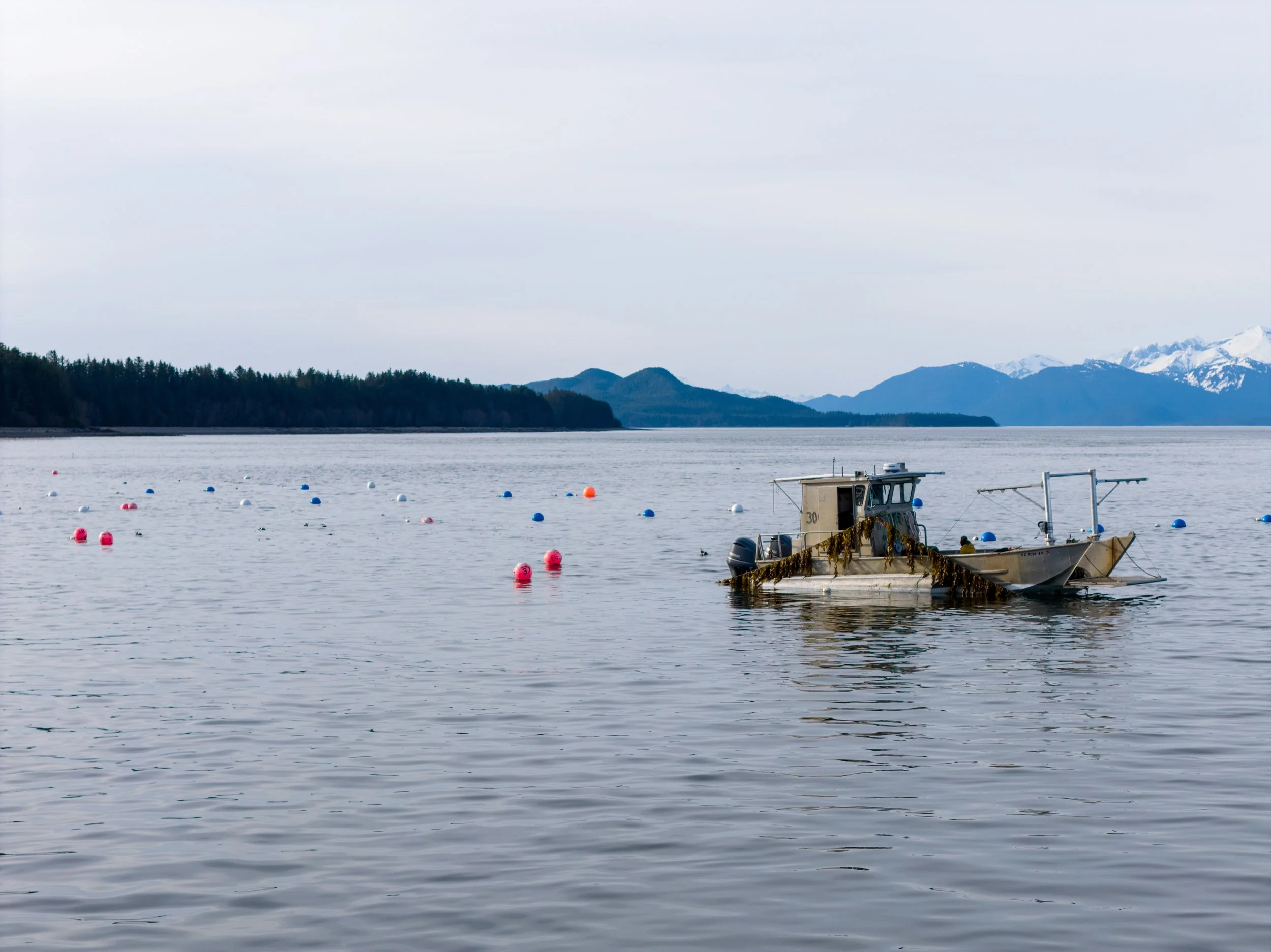 SeaQuesterFarm-3.jpg