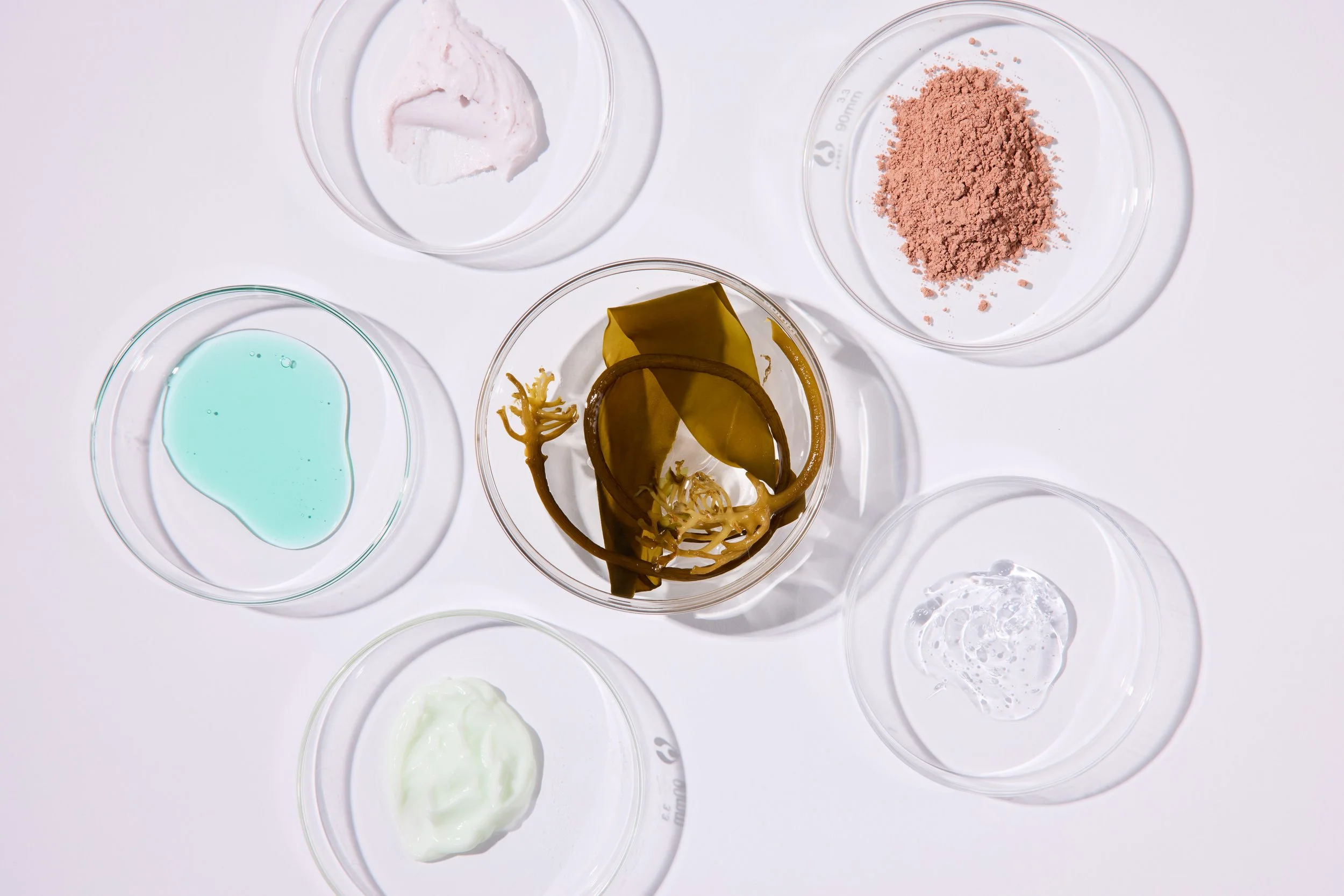 Kelp in a petri dish surrounded by other compounds and ingredient components