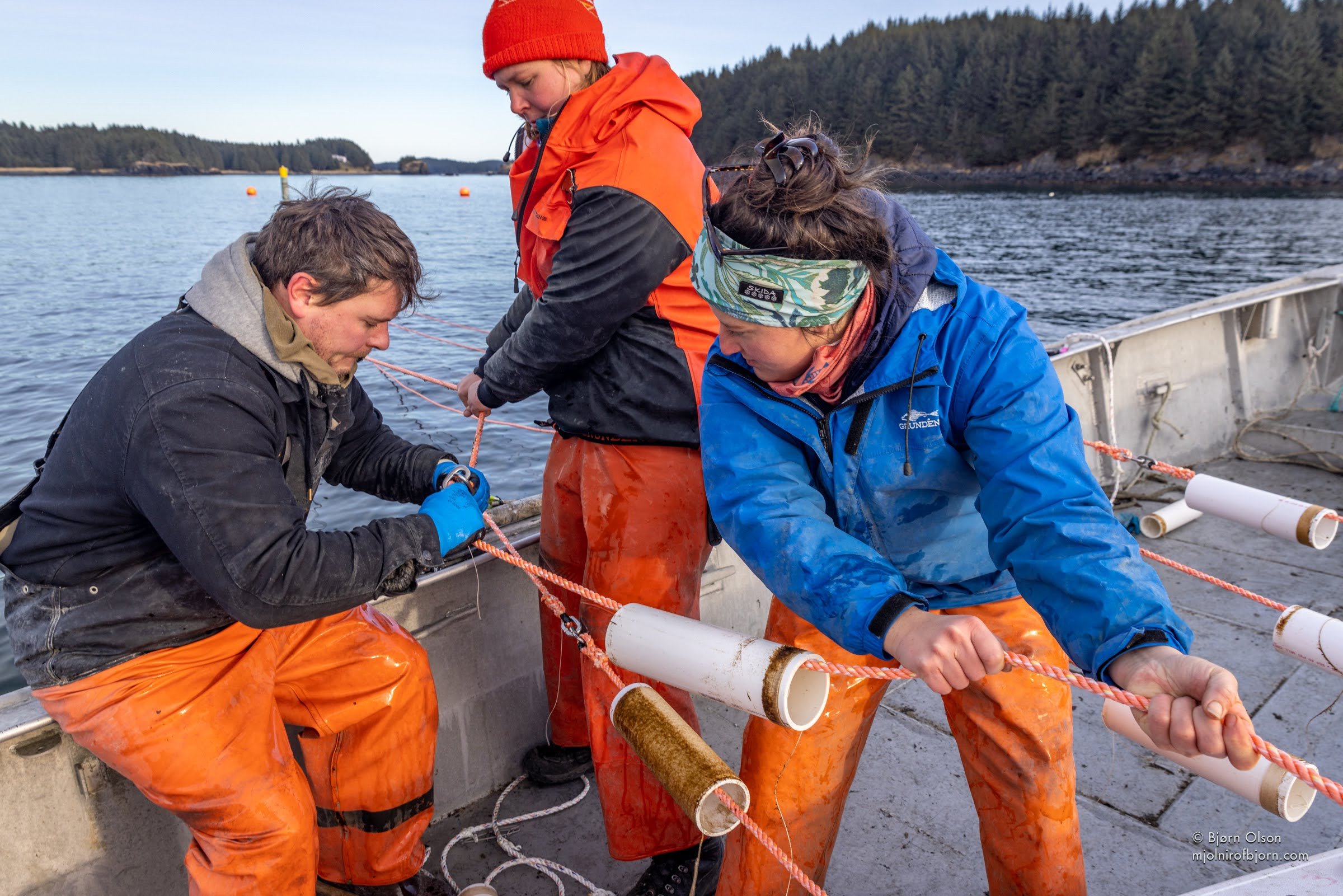 bjorn-kelp-farm-52.jpg