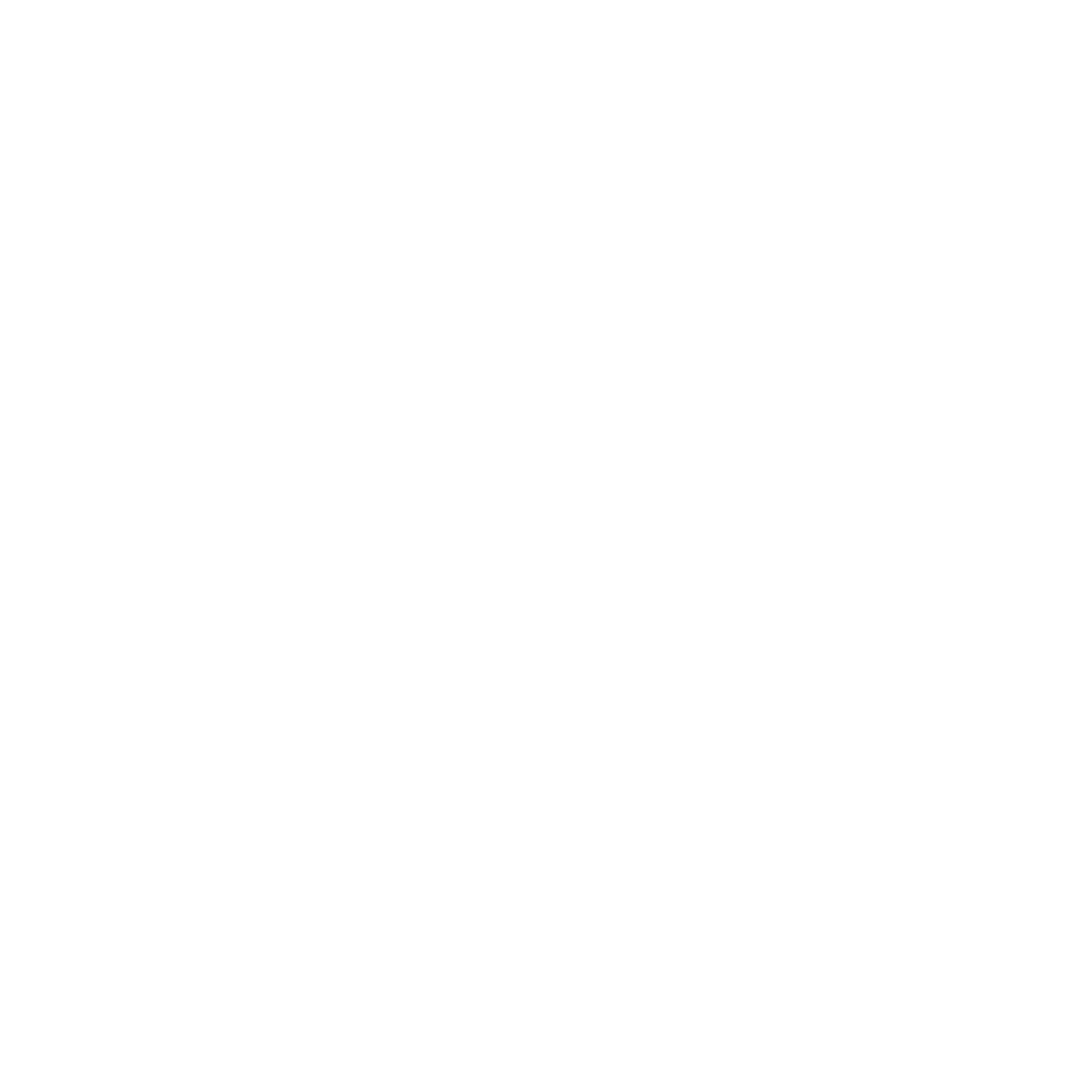 313 BJJ