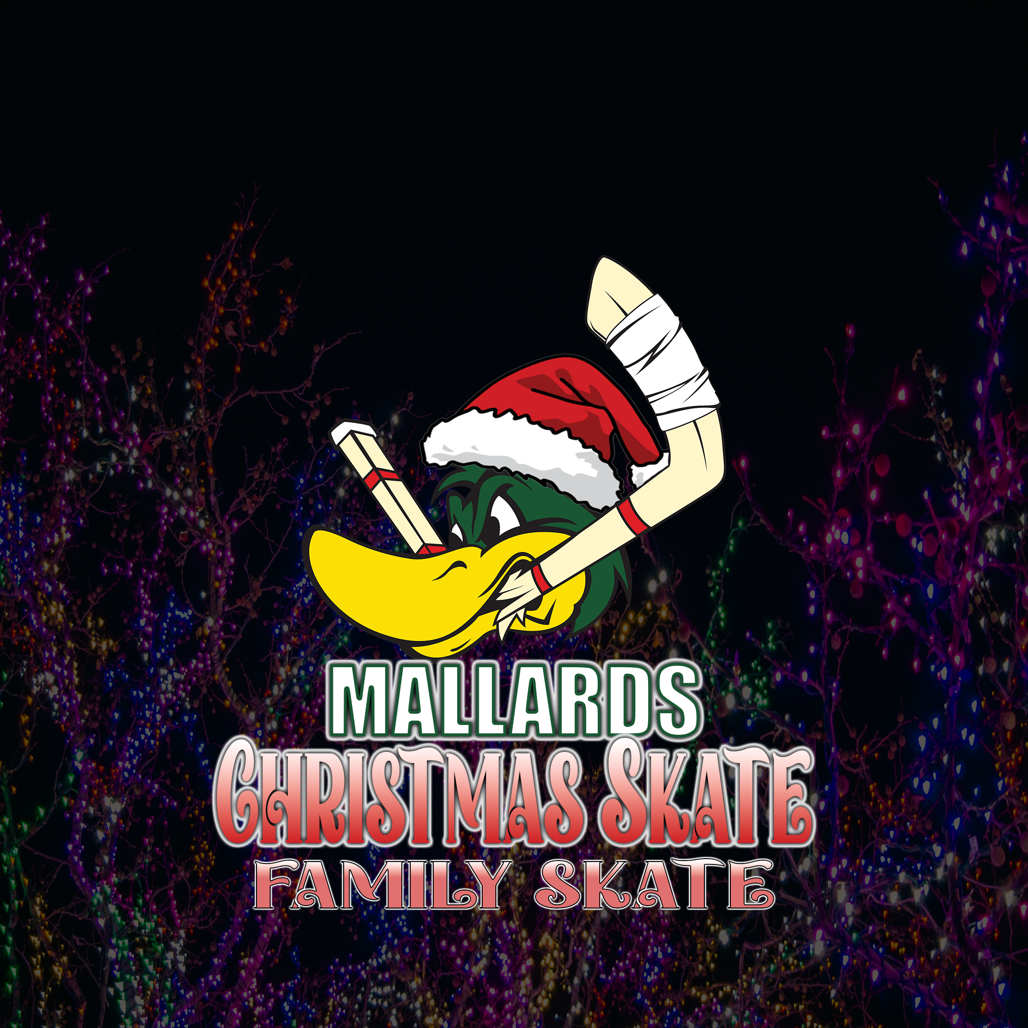 Mallards Christmas Eve Family Skate