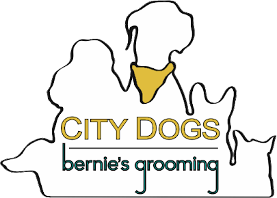 City Dogs / Bernie's Grooming