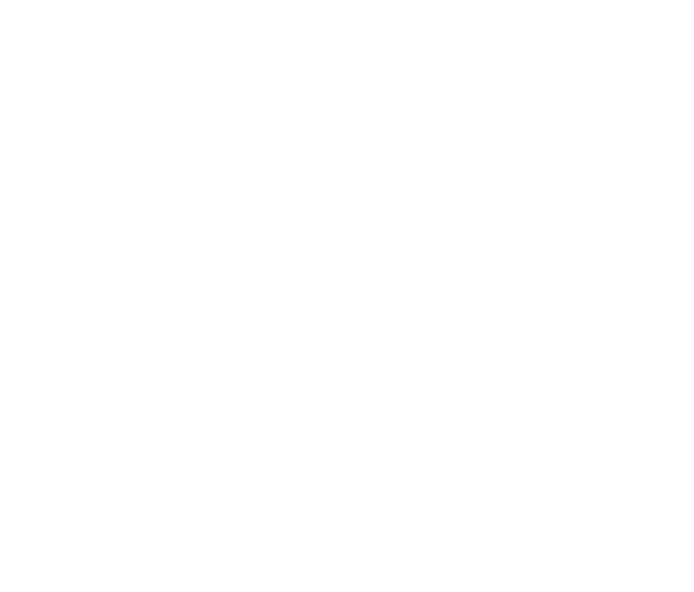 State of Flow