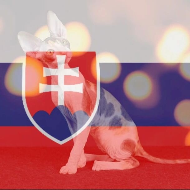 We have already revealed eight countries from which the exhibitors are coming to our show. In total, there will be exhibitors from 11 different countries which means three more countries to go. The country No. 9 is Slovakia. 🇸🇰 Vitajte!

1️⃣ Finlan