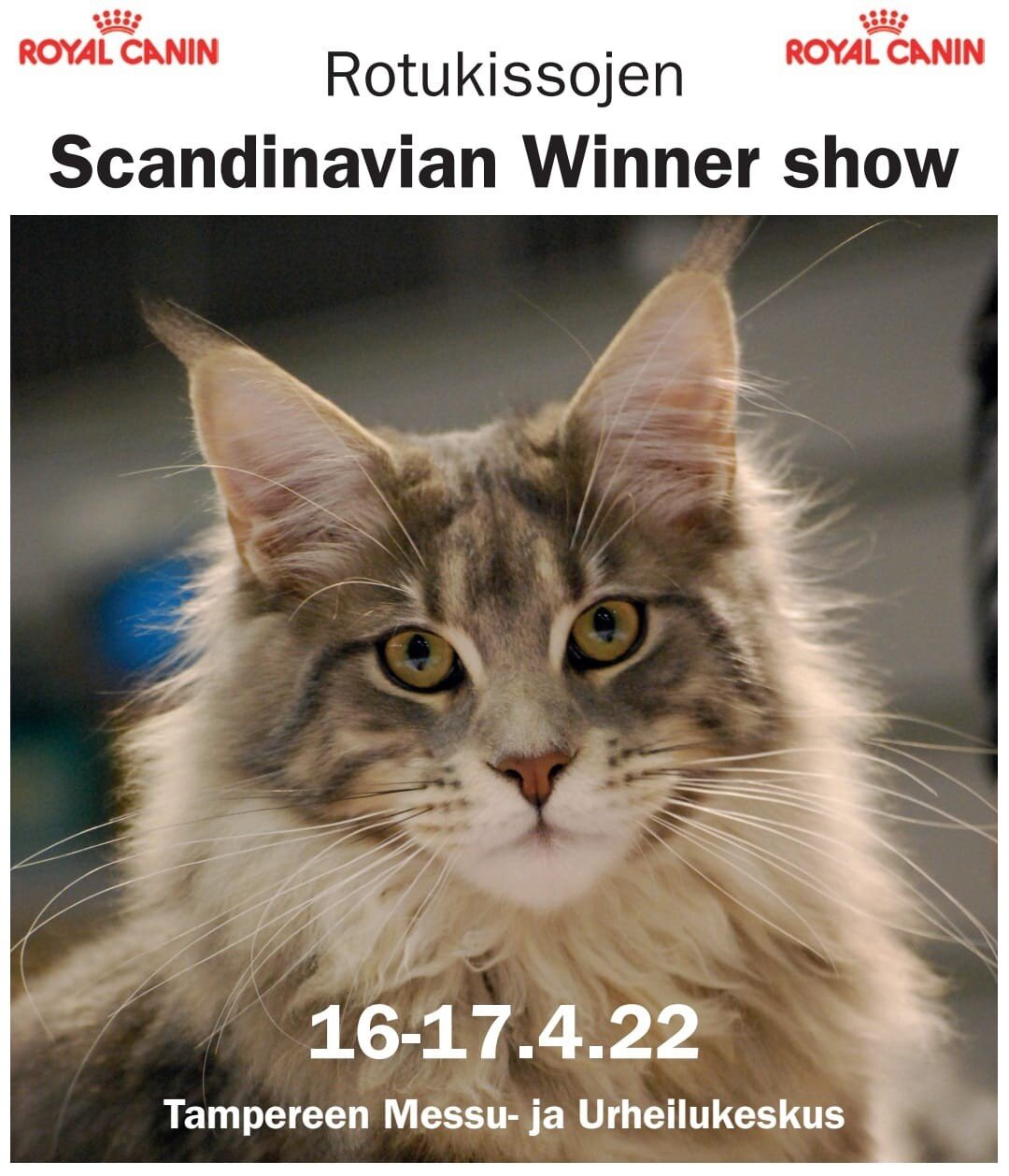 Come spend Easter with us in a purrrfect way! 😺🐾 Scandinavian Winner Show, Finland's biggest cat show, gathers almost 700 wonderful cats from 11 different countries in Tampere. Welcome to learn about different breeds and get to know cats as a hobby