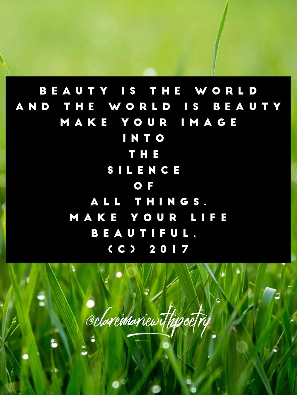 Inspirational quote overlay on dewy green grass background.