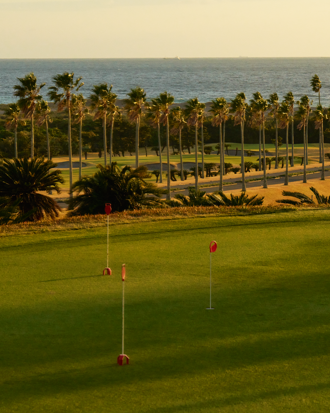 23kuGOLF24ss_014.png