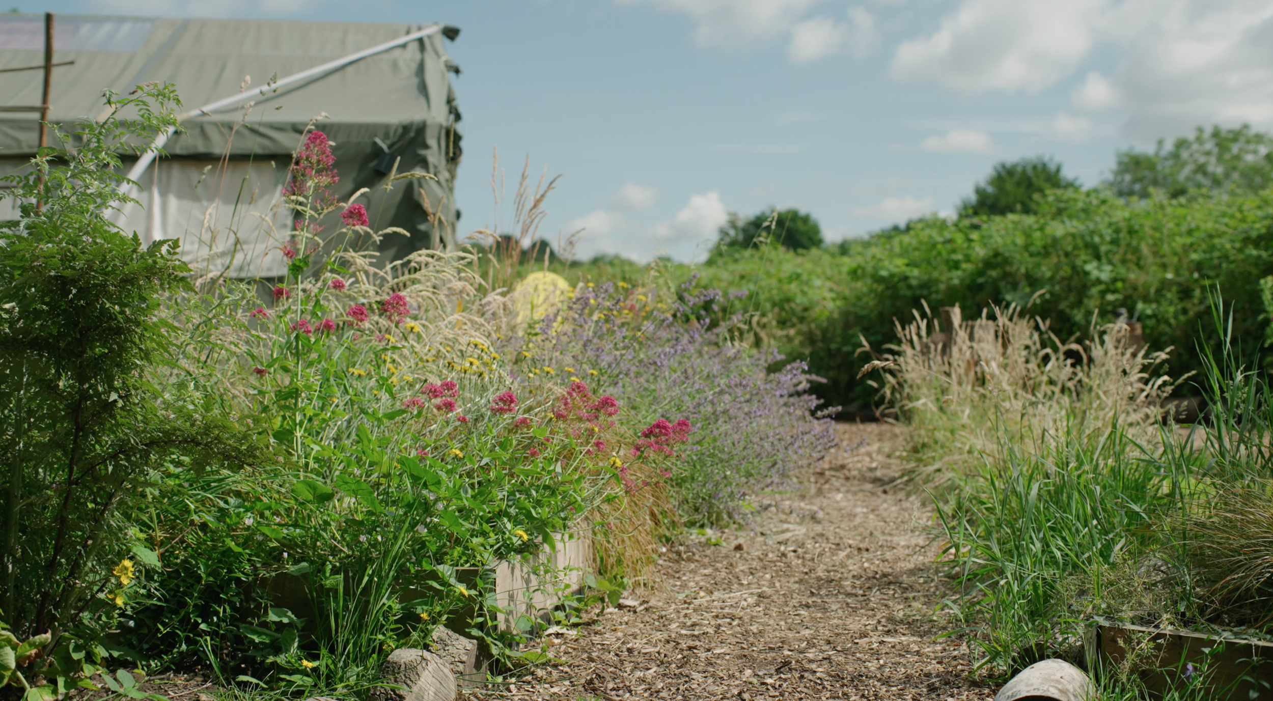 Path _Flowers1 .png