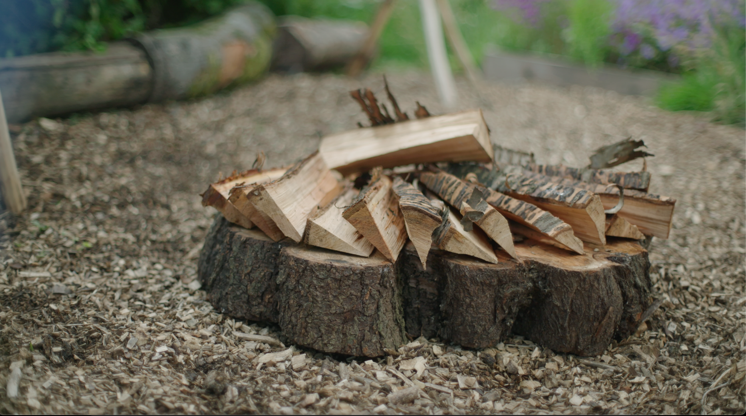 Chopped firewood stacked on a tree stump outdoors on a woodchip-covered ground with blurred greenery in the background.
