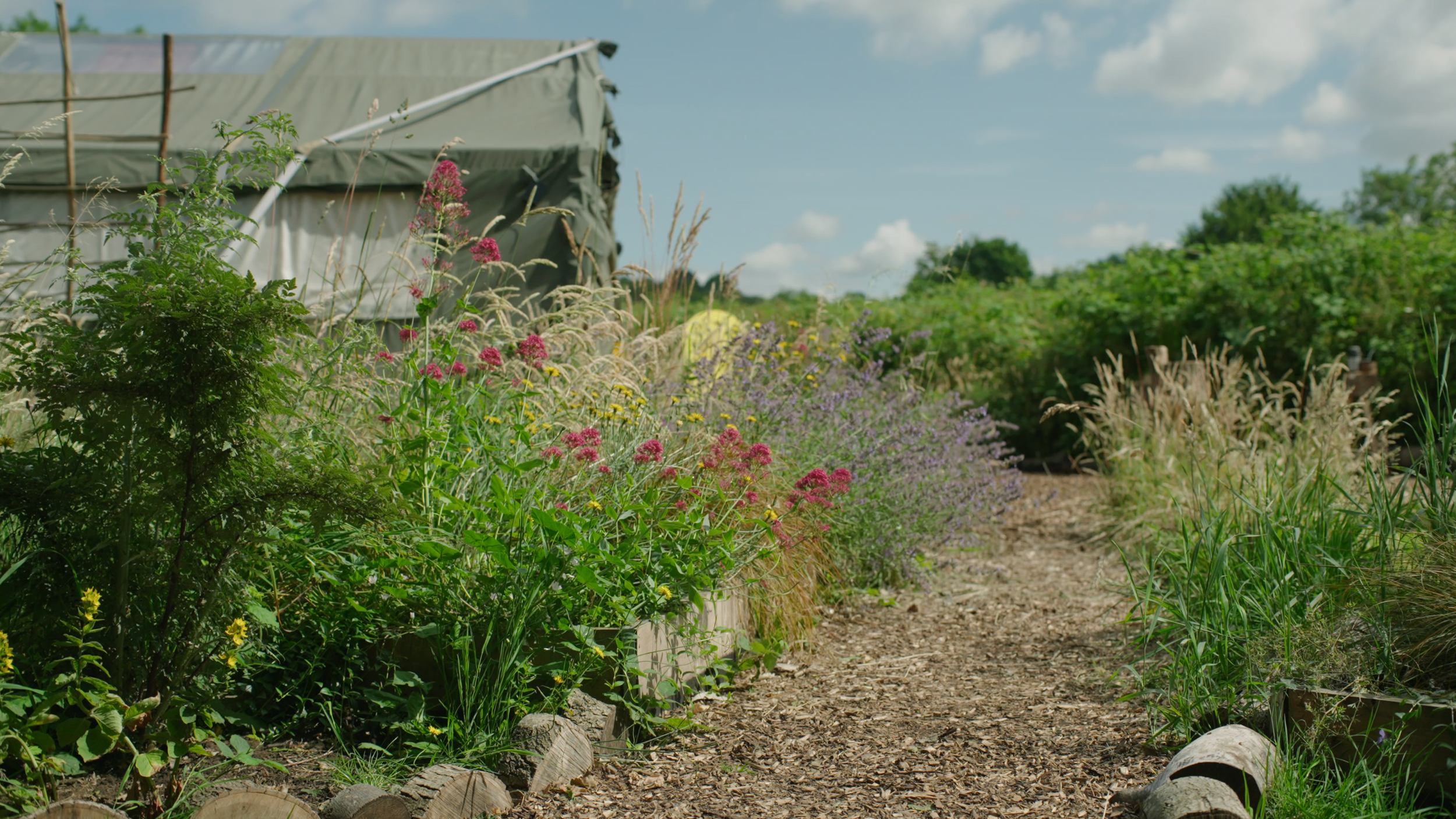 A garden path with flowering plants and greenery under a partly cloudy sky.