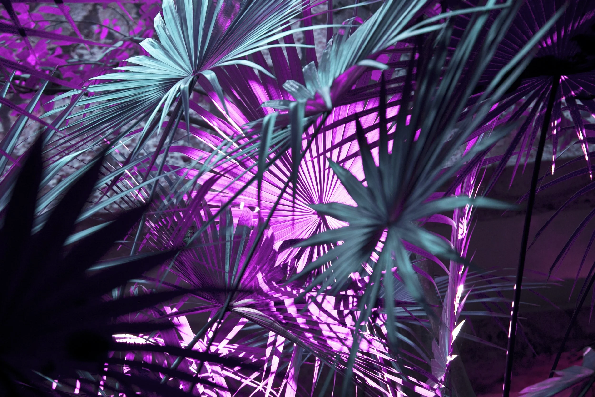 Decorative Wall Art - 1