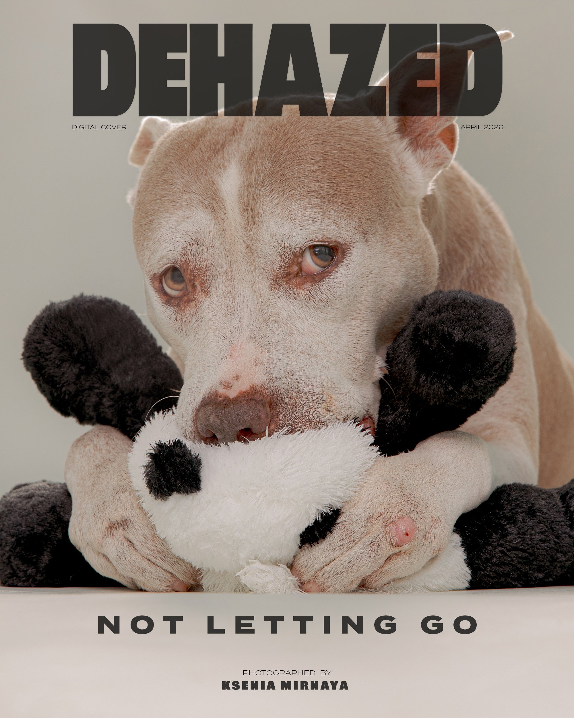 COVER DEHAZED 2026.jpg