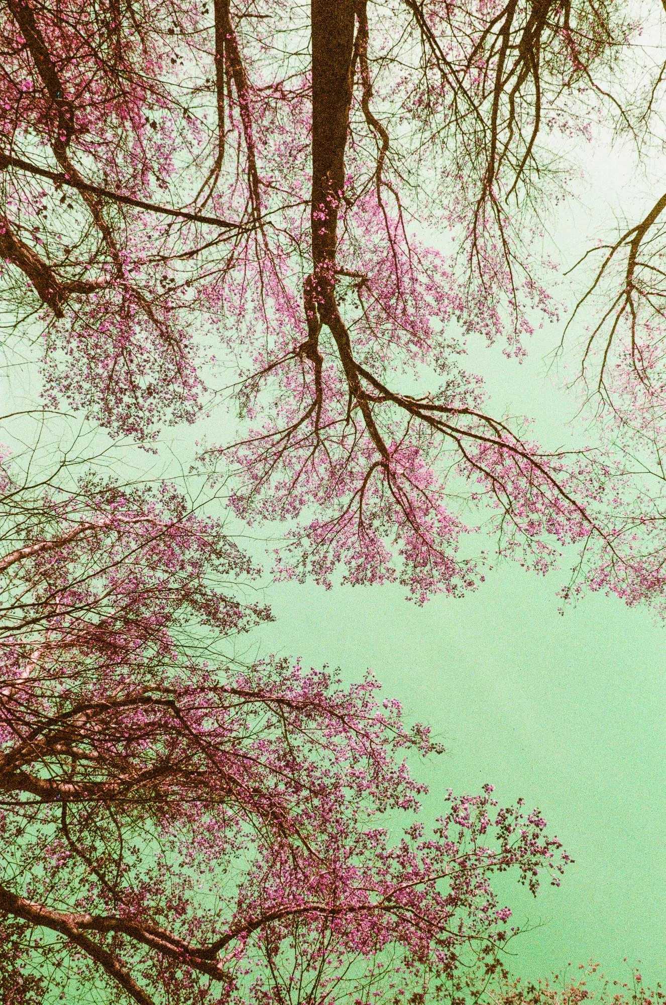 APRIL