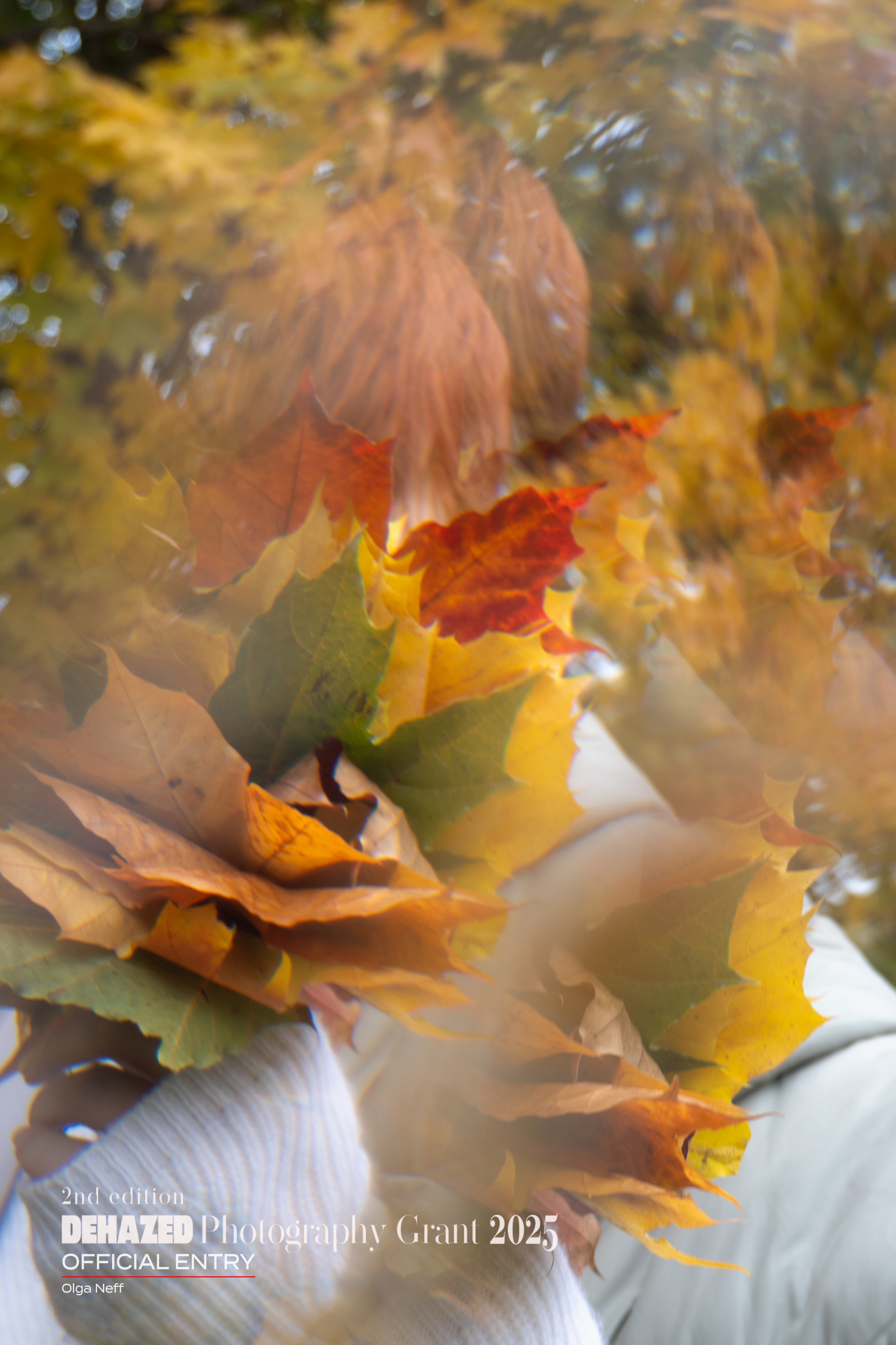 Becoming+Foliage.jpg